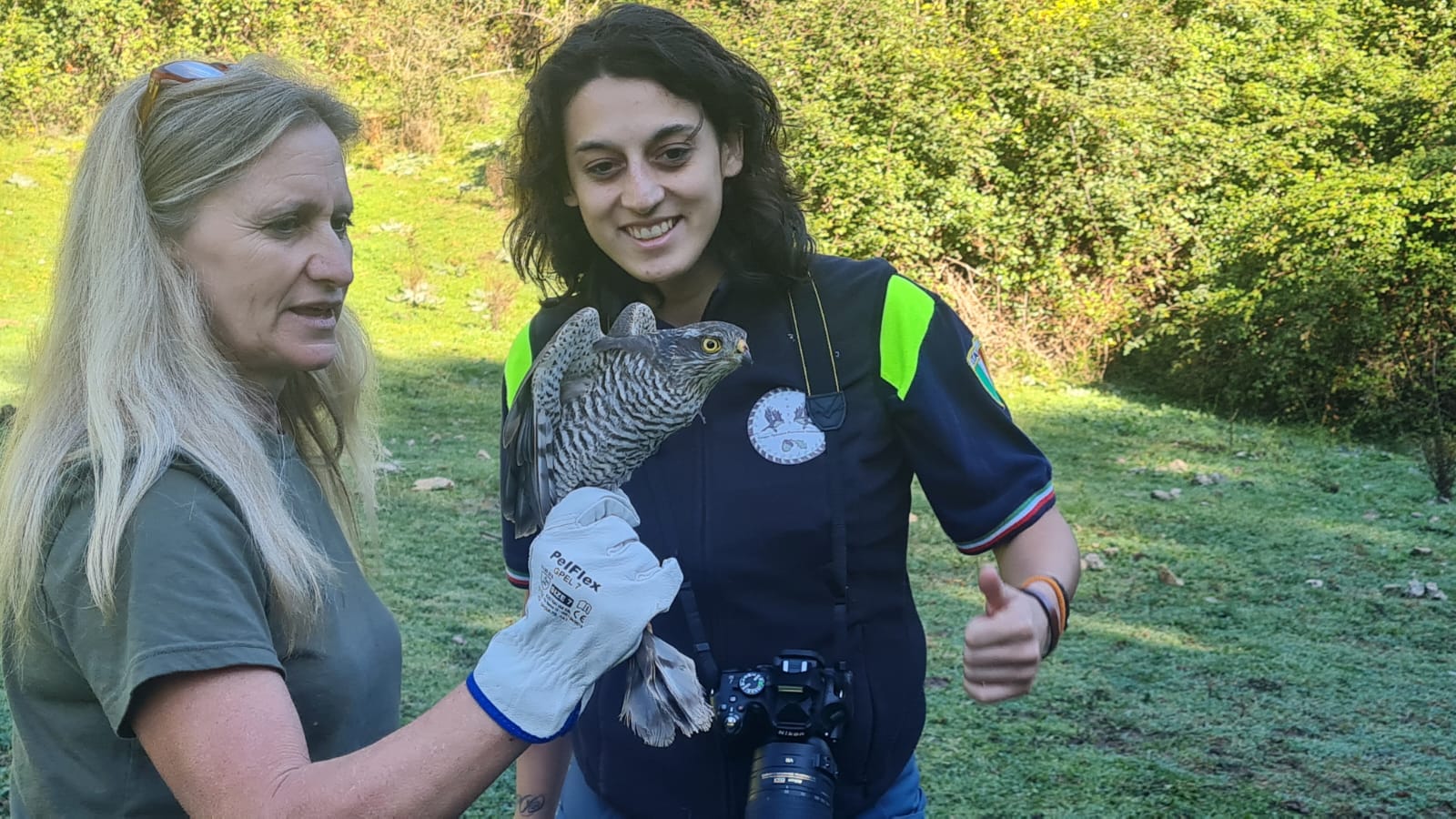https://www.agenziaeventi.org/immagini_news/3228/parco-dei-monti-lucretili-rilascio-di-uno-sparviere-3228.jpg