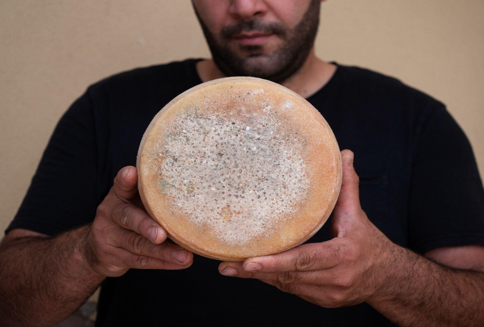 https://www.agenziaeventi.org/immagini_news/3751/cheese-2023-il-cacio-di-genazzano-a-bra-cn-3751.png