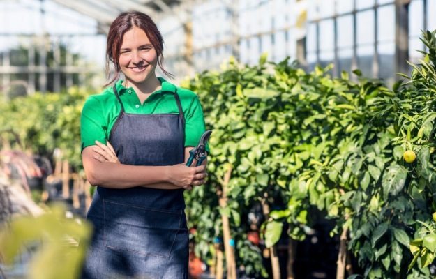 https://www.agenziaeventi.org/immagini_news/4480/dal-prossimo-ottobre-il-servizio-civile-agricolo-e-realta-una-nuova-opportunita-per-i-giovani-4480.jpg
